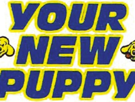 Your New Puppy on Sale